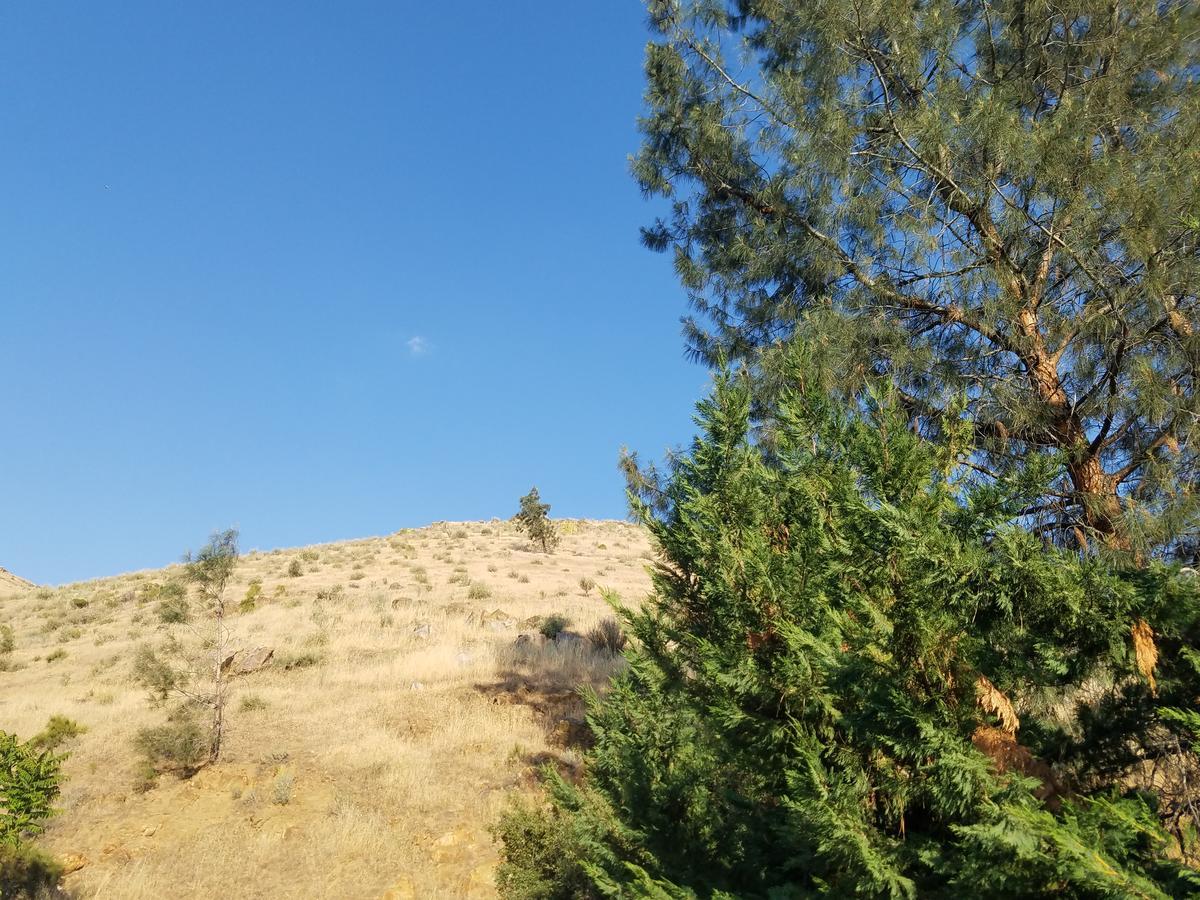 Sacred Mtn River Suites Kernville Esterno foto